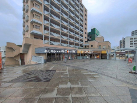 ���n�O�ώʐ^ �B�e��(2026-03-31 00:00:00)