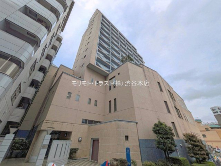 ���n�O�ώʐ^ �B�e��(2026-03-31)