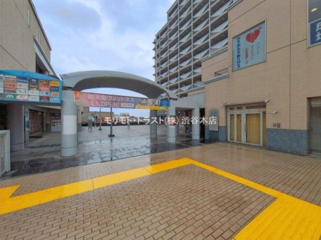 ���n�O�ώʐ^ �B�e��(2026-03-31 00:00:00)