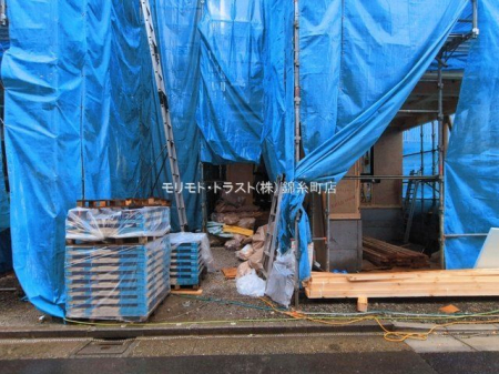 ���n�O�ώʐ^ �B�e��(2026-03-03 00:00:00)