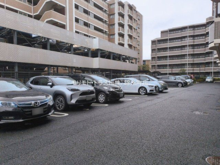 ���n�O�ώʐ^ �B�e��(2026-03-10 00:00:00)