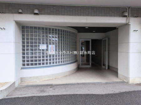 ���n�O�ώʐ^ �B�e��(2026-03-10 00:00:00)