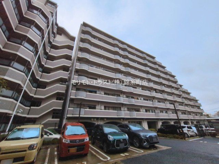 ���n�O�ώʐ^ �B�e��(2026-03-10 00:00:00)