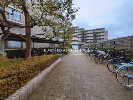 ���n�O�ώʐ^ �B�e��(2026-03-10 00:00:00)