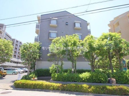 ���n�O�ώʐ^ �B�e��(2024-06-19 00:00:00)