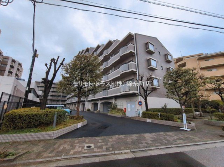 ���n�O�ώʐ^ �B�e��(2026-03-10)