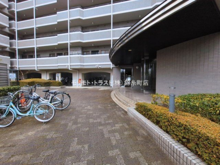 �G���g�����X �B�e��(2026-03-10 00:00:00)