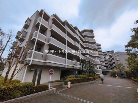 ���n�O�ώʐ^ �B�e��(2026-03-10 00:00:00)