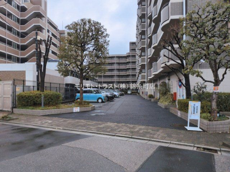 ���n�O�ώʐ^ �B�e��(2026-03-10 00:00:00)