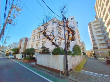 ���n�O�ώʐ^ �B�e��(2024-12-09)