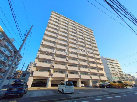 ���n�O�ώʐ^ �B�e��(2024-12-26 00:00:00)