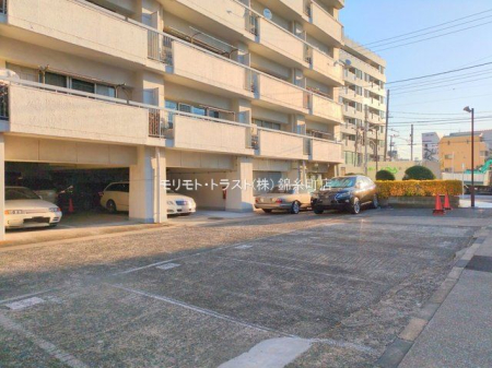 ���n�O�ώʐ^ �B�e��(2024-12-26 00:00:00)