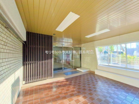 ���n�O�ώʐ^ �B�e��(2024-12-26 00:00:00)