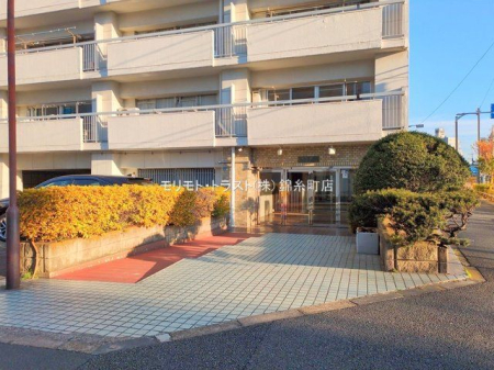 �G���g�����X �B�e��(2024-12-26)