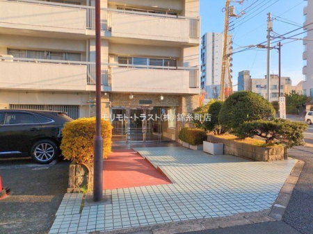 ���n�O�ώʐ^ �B�e��(2024-12-26 00:00:00)