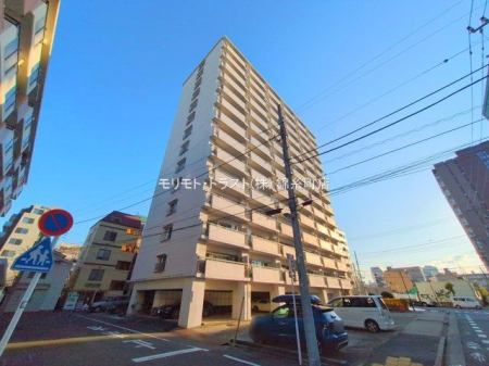 ���n�O�ώʐ^ �B�e��(2024-12-26 00:00:00)