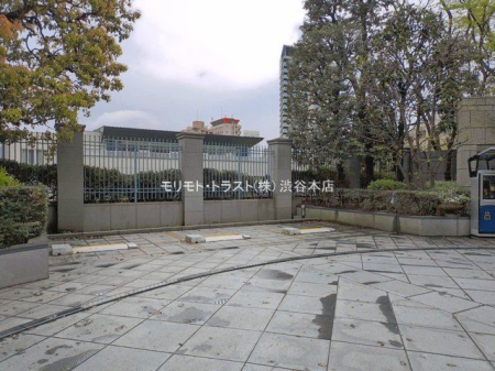 ���n�O�ώʐ^ �B�e��(2026-04-02 00:00:00)