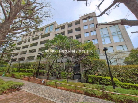 ���n�O�ώʐ^ �B�e��(2026-04-02)