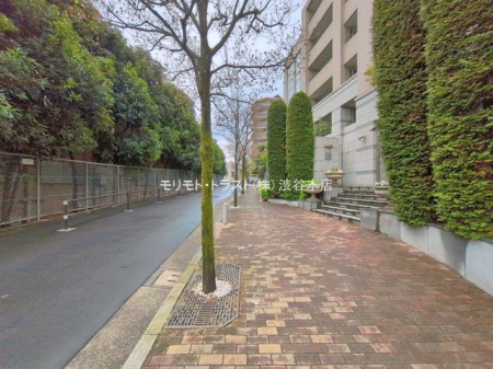 ���n�O�ώʐ^ �B�e��(2026-04-02 00:00:00)