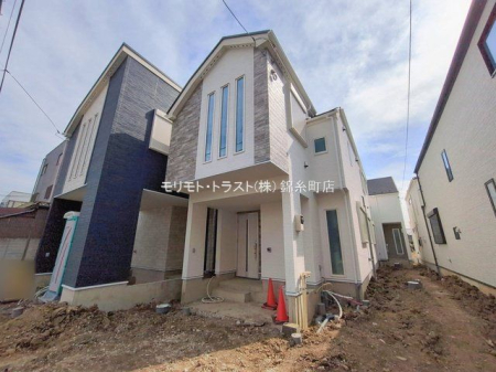 ���n�O�ώʐ^ �B�e��(2026-02-20 00:00:00)