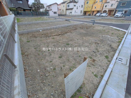 ���n�y�n�ʐ^ �B�e��(2026-03-25 00:00:00)