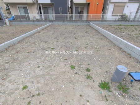 ���n�y�n�ʐ^ �B�e��(2026-03-25 00:00:00)