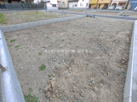 ���n�y�n�ʐ^ �B�e��(2026-03-25 00:00:00)