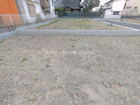 ���n�y�n�ʐ^ �B�e��(2026-03-25 00:00:00)