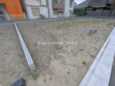 ���n�y�n�ʐ^ �B�e��(2026-03-25 00:00:00)