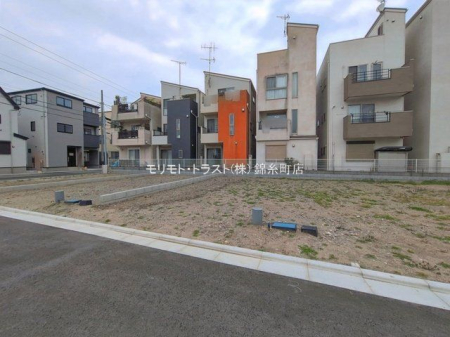 ���n�y�n�ʐ^ �B�e��(2026-03-25 00:00:00)