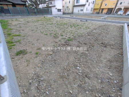 ���n�y�n�ʐ^ �B�e��(2026-03-25 00:00:00)