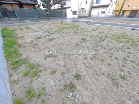 ���n�y�n�ʐ^ �B�e��(2026-03-25 00:00:00)