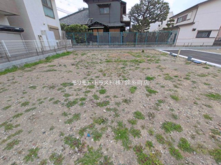 ���n�y�n�ʐ^ �B�e��(2026-03-25 00:00:00)