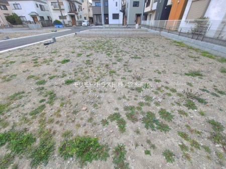 ���n�y�n�ʐ^ �B�e��(2026-03-25 00:00:00)