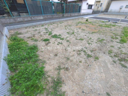 ���n�y�n�ʐ^ �B�e��(2026-03-25 00:00:00)