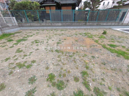 ���n�y�n�ʐ^ �B�e��(2026-03-25 00:00:00)