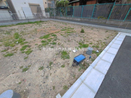 ���n�y�n�ʐ^ �B�e��(2026-03-25 00:00:00)