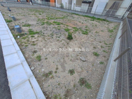 ���n�y�n�ʐ^ �B�e��(2026-03-25 00:00:00)