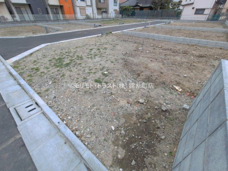 ���n�y�n�ʐ^ �B�e��(2026-03-25 00:00:00)