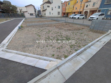 ���n�y�n�ʐ^ �B�e��(2026-03-25 00:00:00)