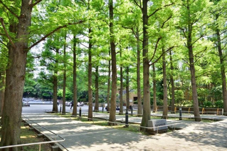 ���ӊ� ���r�ܒ������� �k��21���B 1660m