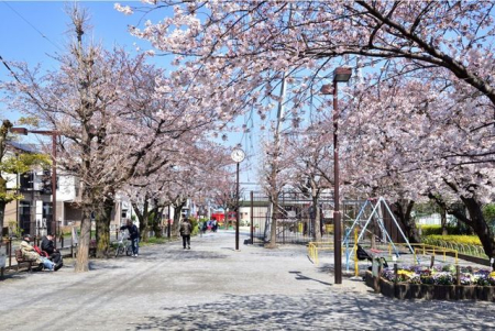 ���ӊ� �{�O���� �k��13���B 990m