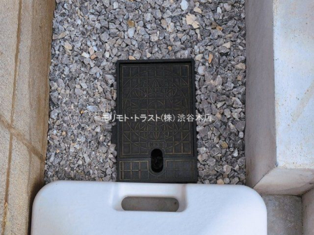 ���n�O�ώʐ^ �B�e��(2026-03-17 00:00:00)