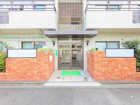 �G���g�����X �B�e��(2024-11-01 00:00:00)