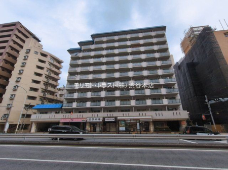 ���n�O�ώʐ^ �B�e��(2026-03-06)