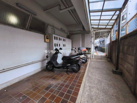 ���n�O�ώʐ^ �B�e��(2026-03-06 00:00:00)