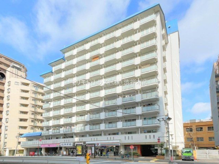 ���n�O�ώʐ^ �B�e��(2024-03-08 00:00:00)