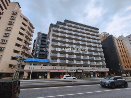 ���n�O�ώʐ^ �B�e��(2026-03-06)