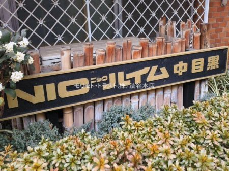 ���n�O�ώʐ^ �B�e��(2026-03-06 00:00:00)