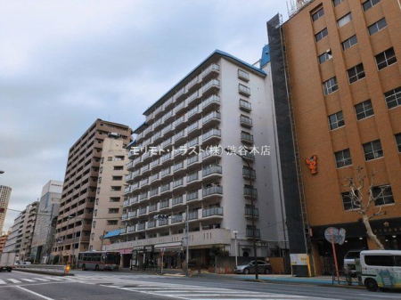 ���n�O�ώʐ^ �B�e��(2026-03-06 00:00:00)